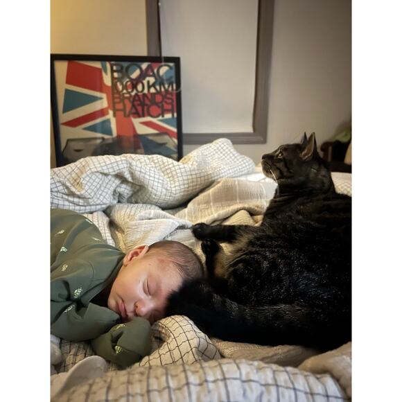 Topshop White Puff Sleeve Waffle Knit Cutout Milkmaid Bodysuit Size XS White - Picture 5 of 14